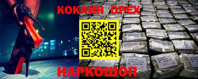 прущие грибы Можга